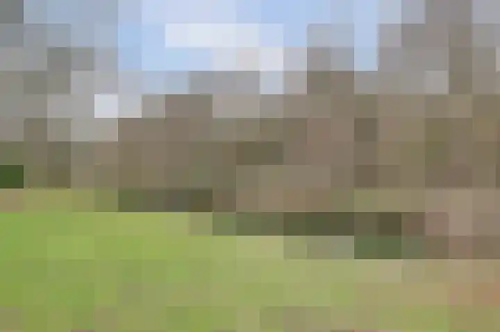 Ranonkel 16 Hoogvliet Rotterdam thumbnail 33