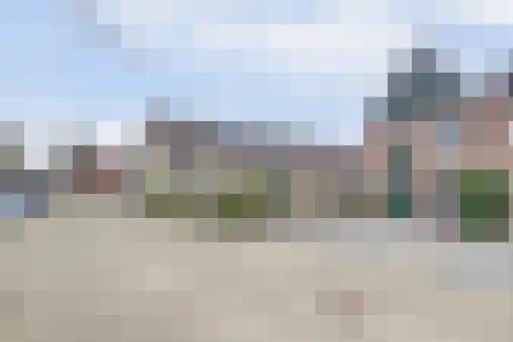 Ranonkel 16 Hoogvliet Rotterdam thumbnail 34