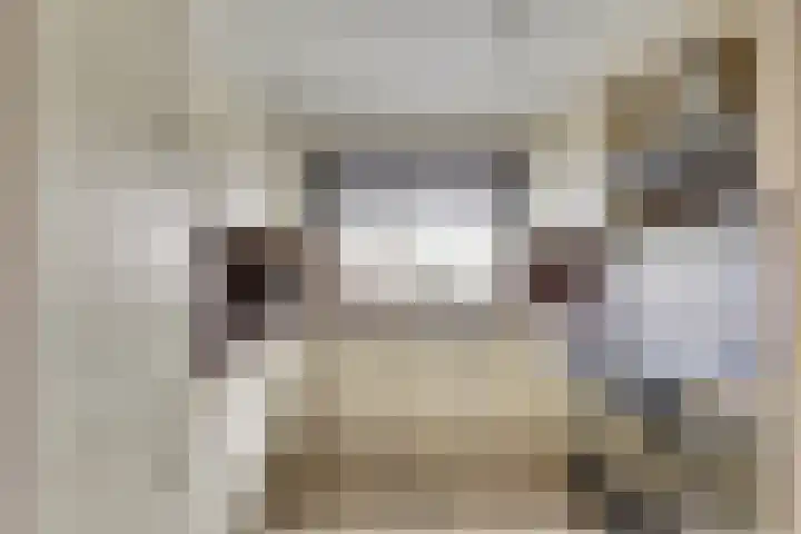 Ranonkel 16 Hoogvliet Rotterdam thumbnail 4