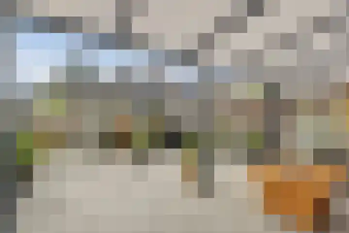 Ranonkel 16 Hoogvliet Rotterdam thumbnail 5