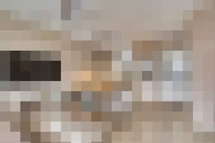 Ranonkel 16 Hoogvliet Rotterdam thumbnail 6