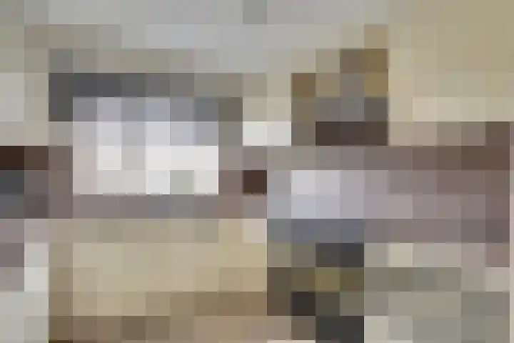 Ranonkel 16 Hoogvliet Rotterdam thumbnail 7