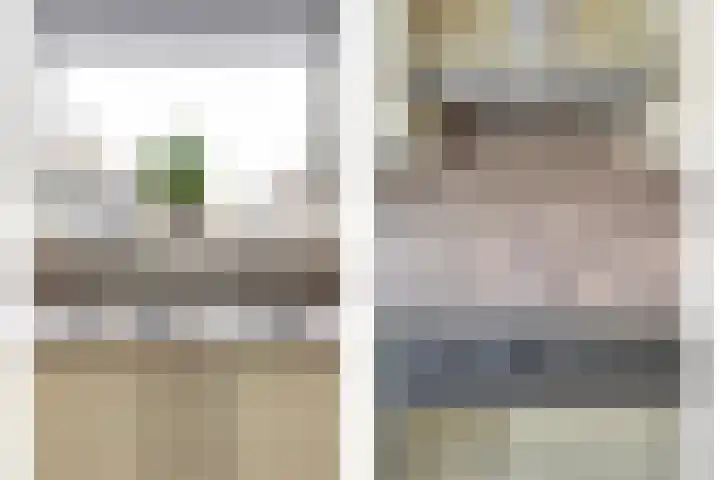 Ranonkel 16 Hoogvliet Rotterdam thumbnail 8