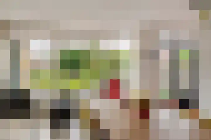 Ranonkel 16 Tiel thumbnail 12