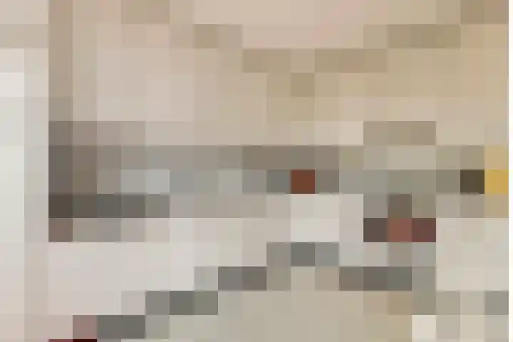 Ranonkel 16 Tiel thumbnail 13