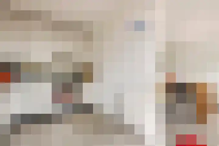 Ranonkel 16 Tiel thumbnail 14