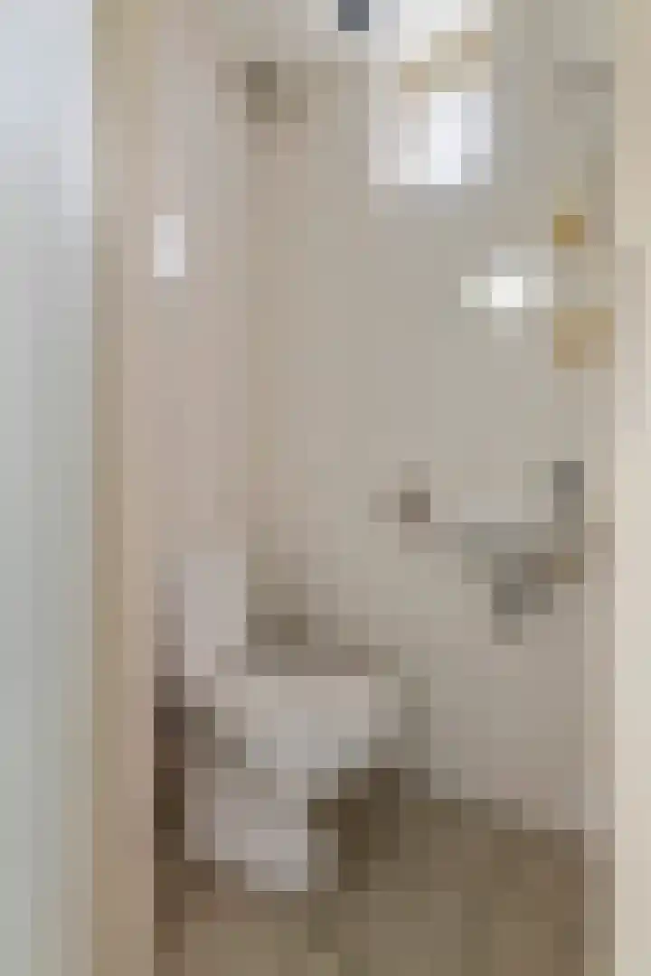 Ranonkel 16 Tiel thumbnail 17