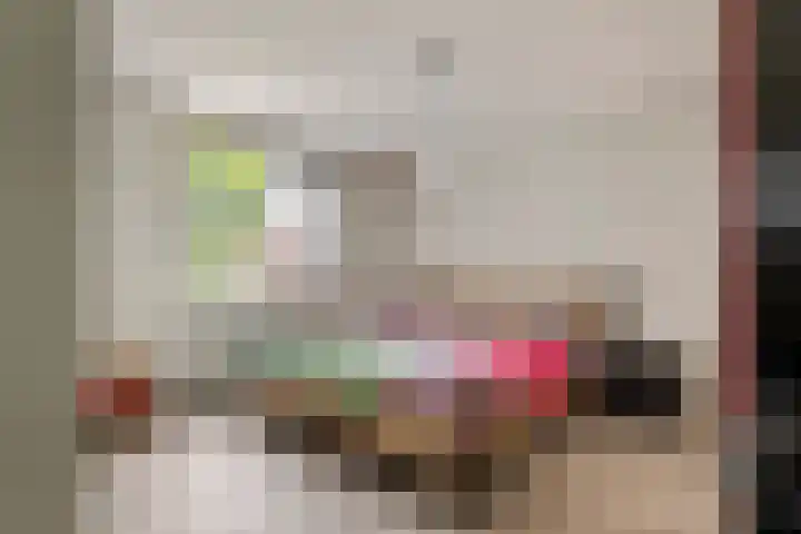 Ranonkel 16 Tiel thumbnail 18