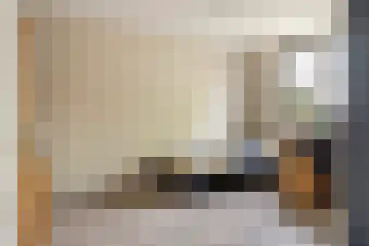 Ranonkel 16 Tiel thumbnail 21