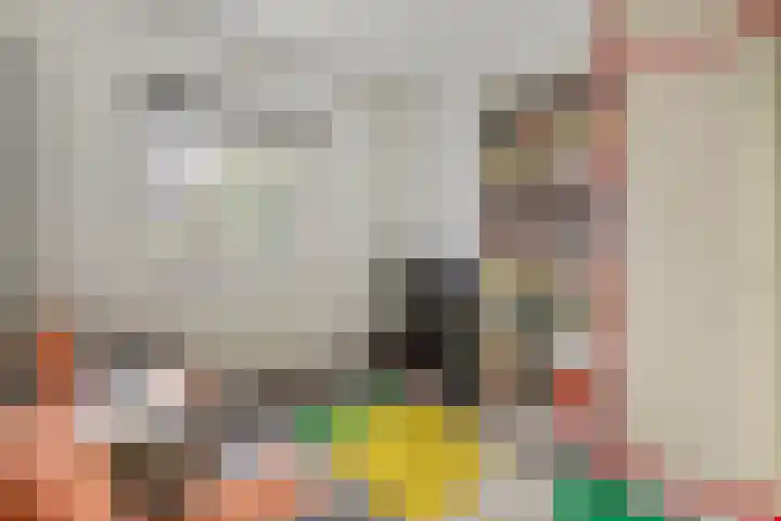 Ranonkel 16 Tiel thumbnail 23