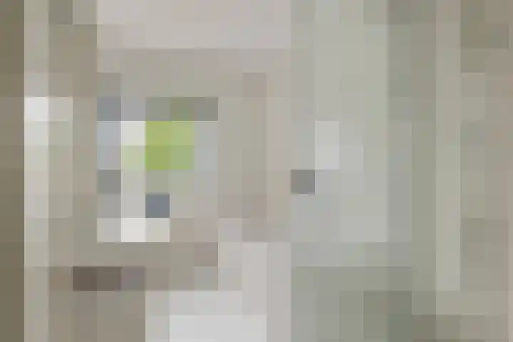 Ranonkel 16 Tiel thumbnail 24