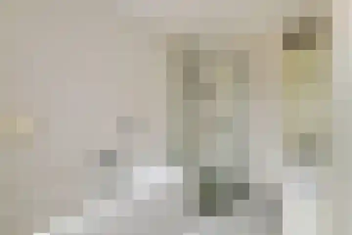 Ranonkel 16 Tiel thumbnail 25