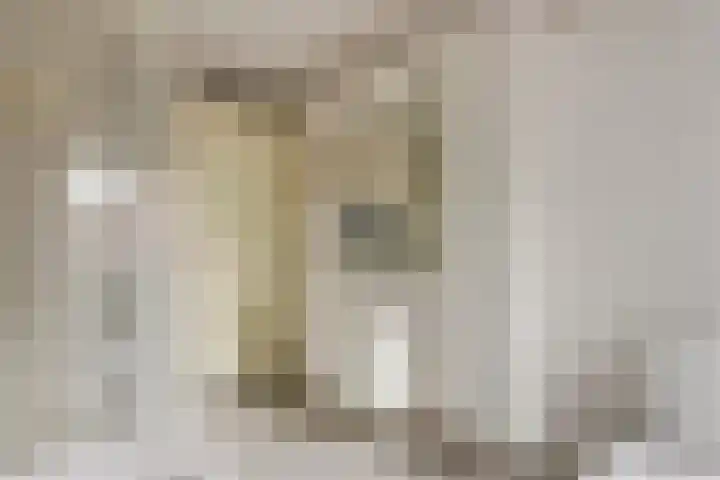 Ranonkel 16 Tiel thumbnail 26