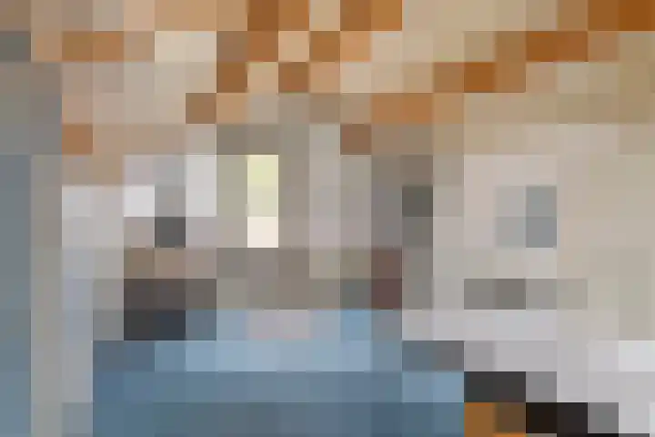 Ranonkel 16 Tiel thumbnail 28