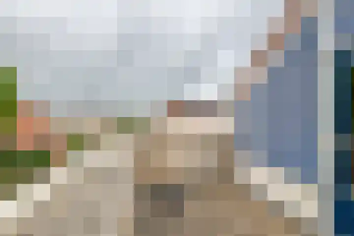 Ranonkel 16 Tiel thumbnail 29
