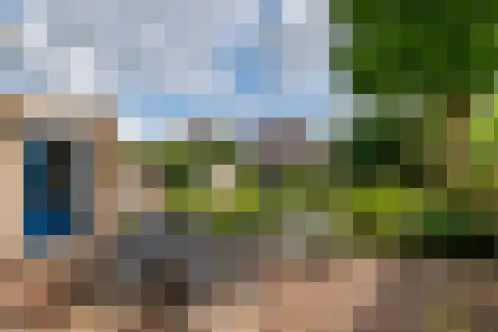 Ranonkel 16 Tiel thumbnail 34