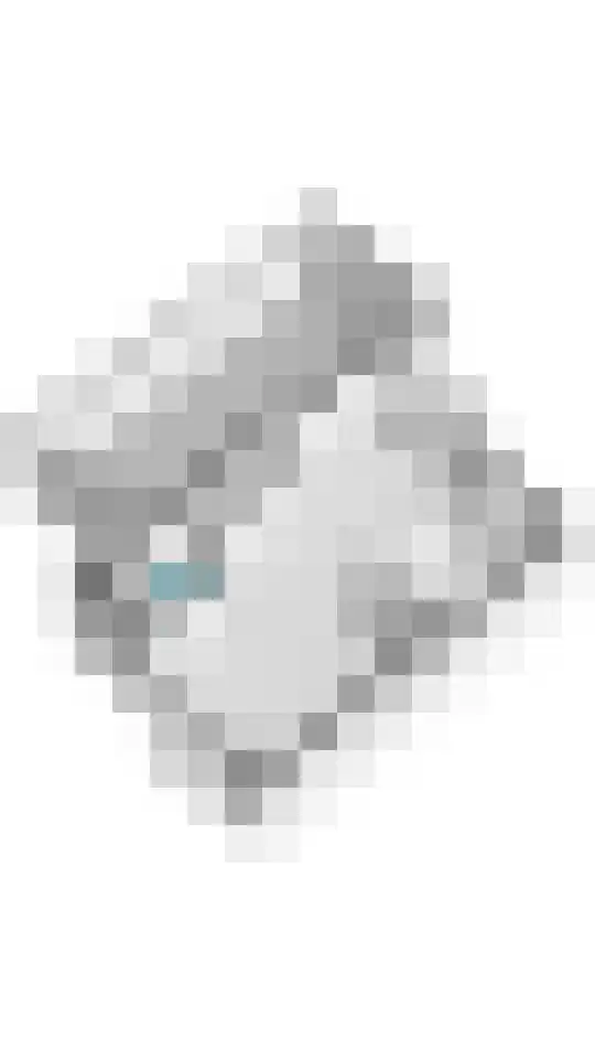 Ranonkel 16 Tiel thumbnail 40