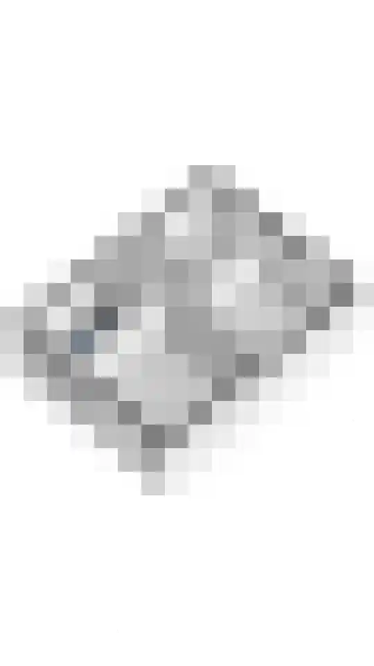 Ranonkel 16 Tiel thumbnail 41