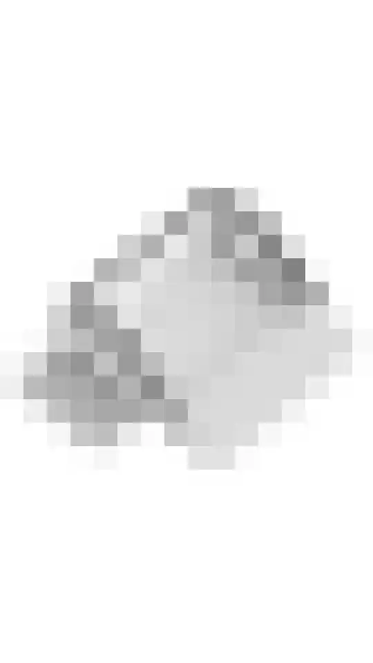 Ranonkel 16 Tiel thumbnail 42
