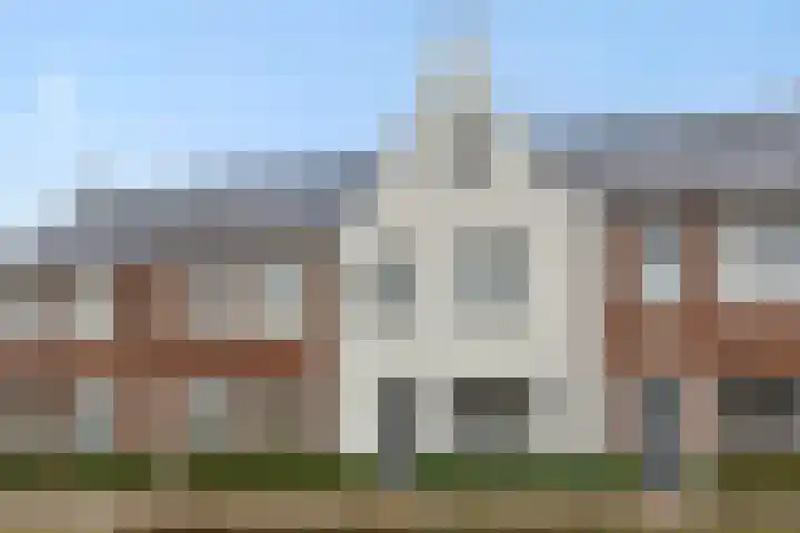Ranonkel 21 in Vlijmen