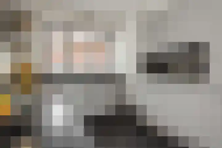Ranonkel 21 Vlijmen thumbnail 11