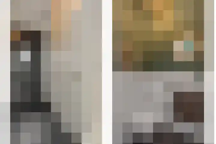Ranonkel 21 Vlijmen thumbnail 13