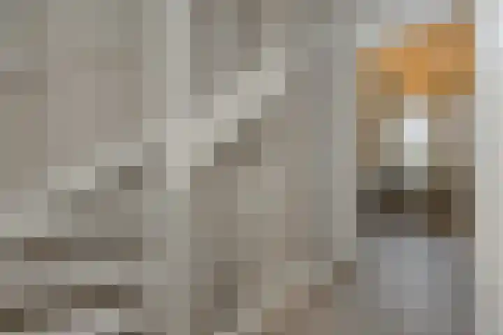 Ranonkel 21 Vlijmen thumbnail 14