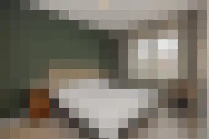Ranonkel 21 Vlijmen thumbnail 15