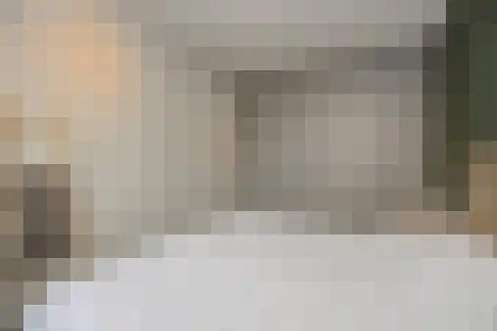 Ranonkel 21 Vlijmen thumbnail 16