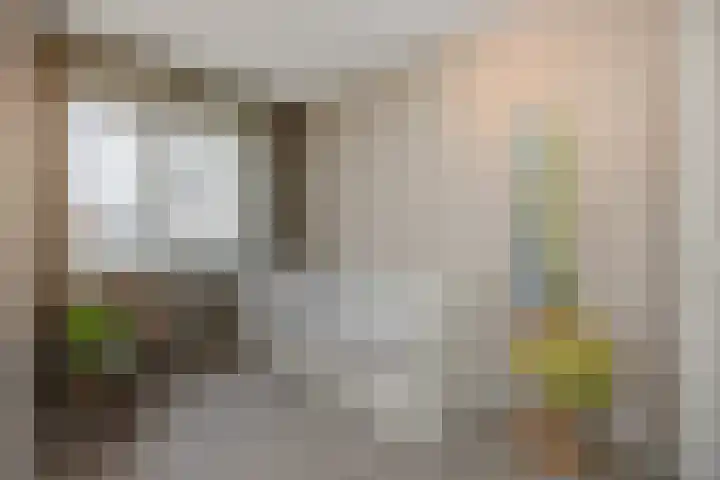 Ranonkel 21 Vlijmen thumbnail 17