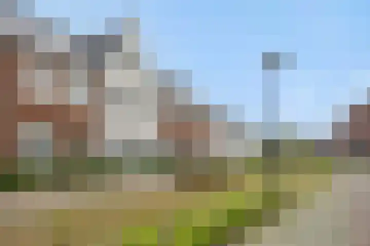 Ranonkel 21 Vlijmen foto 2