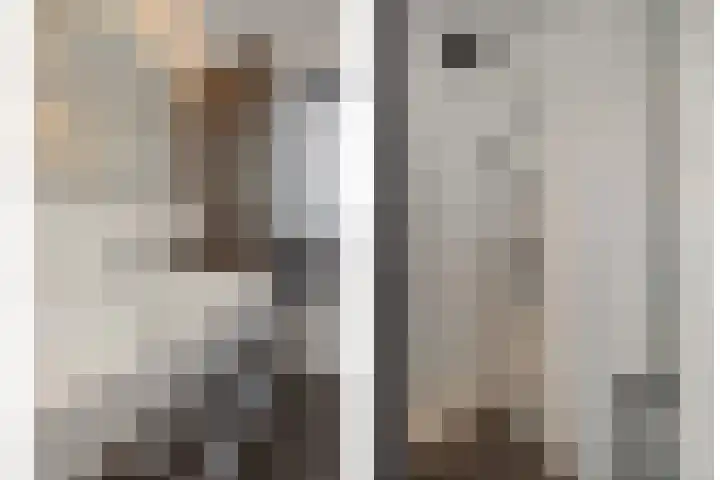 Ranonkel 21 Vlijmen thumbnail 20