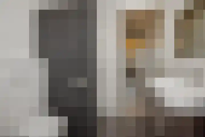 Ranonkel 21 Vlijmen thumbnail 21