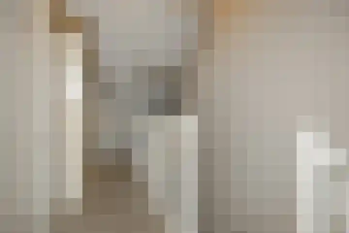Ranonkel 21 Vlijmen thumbnail 22