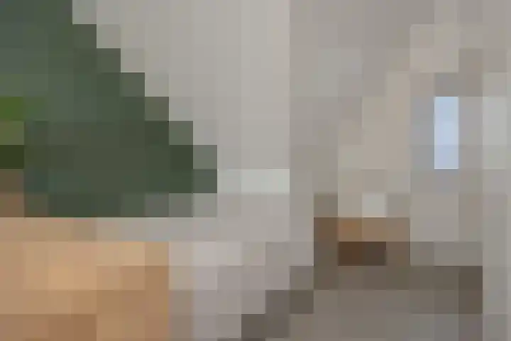 Ranonkel 21 Vlijmen thumbnail 24