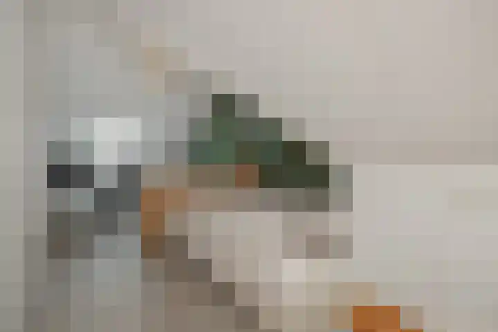 Ranonkel 21 Vlijmen thumbnail 25