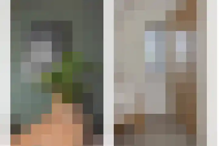 Ranonkel 21 Vlijmen thumbnail 26