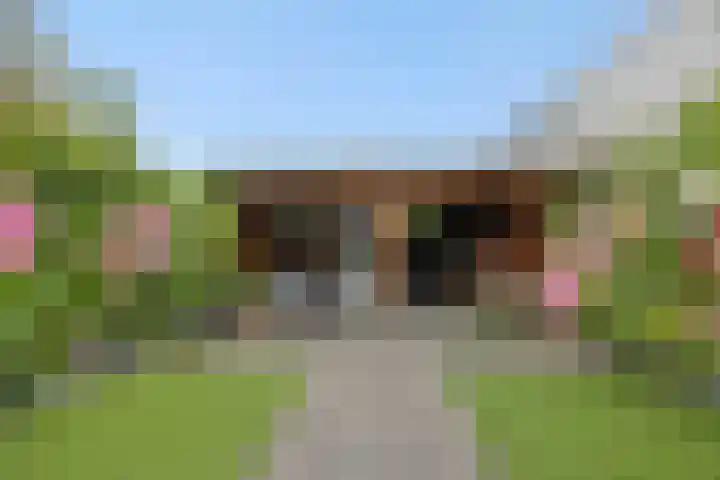 Ranonkel 21 Vlijmen thumbnail 30