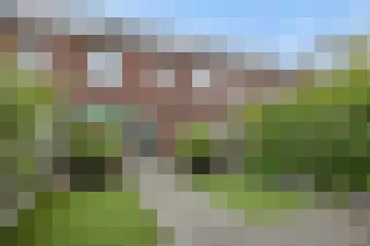 Ranonkel 21 Vlijmen thumbnail 31