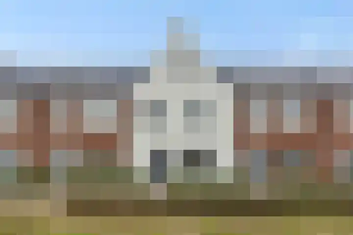 Ranonkel 21 Vlijmen thumbnail 34