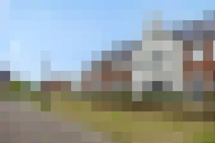 Ranonkel 21 Vlijmen thumbnail 35