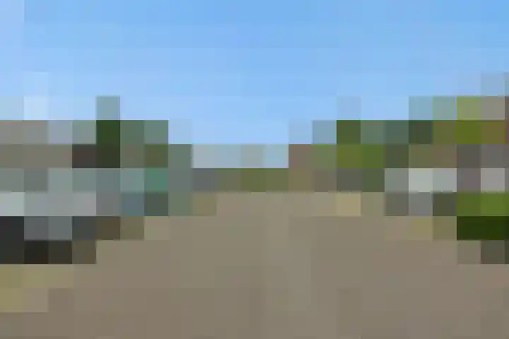 Ranonkel 21 Vlijmen thumbnail 36