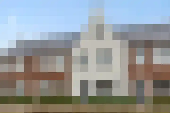 Ranonkel 21 Vlijmen thumbnail 44