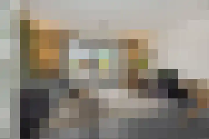 Ranonkel 21 Vlijmen thumbnail 5