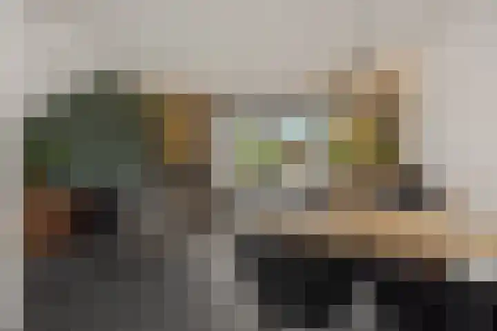 Ranonkel 21 Vlijmen thumbnail 6