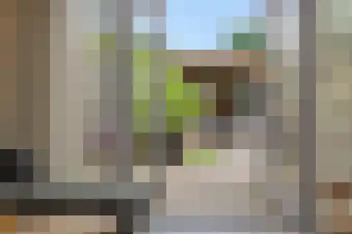 Ranonkel 21 Vlijmen thumbnail 7