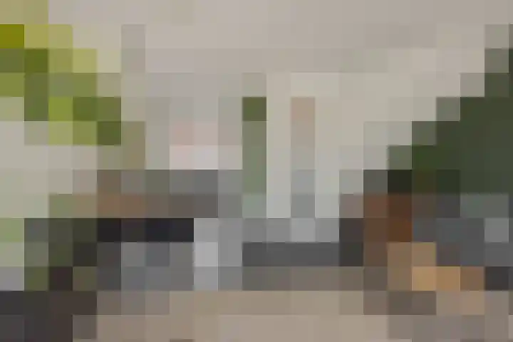 Ranonkel 21 Vlijmen thumbnail 8