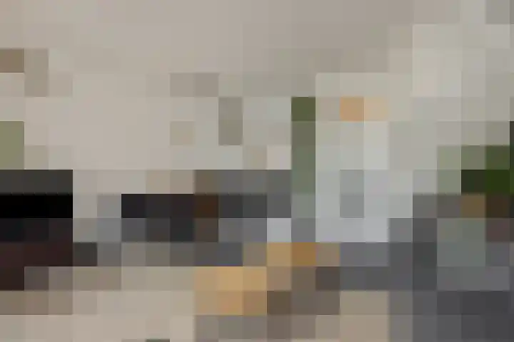 Ranonkel 21 Vlijmen thumbnail 9