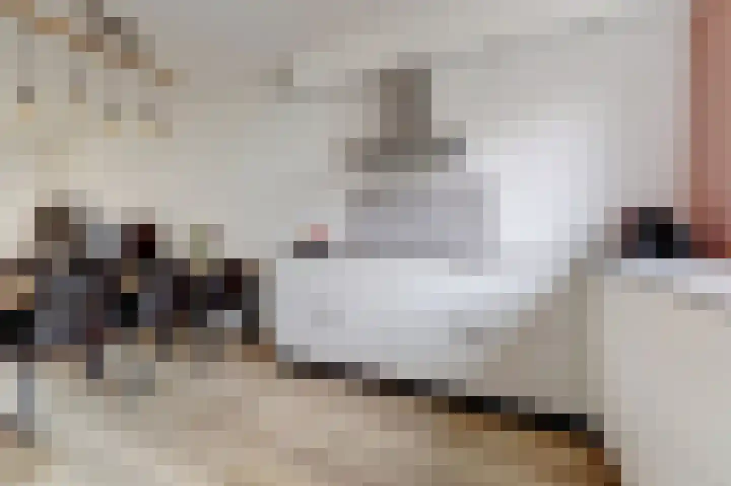 Ranonkel 22 Vlijmen thumbnail 11