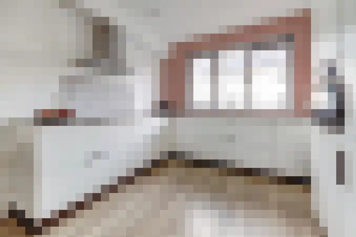 Ranonkel 22 Vlijmen thumbnail 12